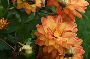 2025-06098866 Pointe Rok Neighborhood, MA